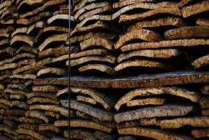 Porto: Korkmuseet: En uppslukande upplevelse som är perfekt för familjer