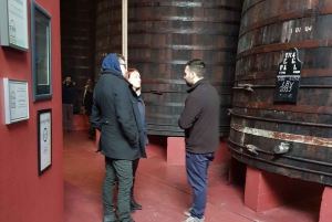 Porto: Wycieczka piesza z degustacją wina Porto i Douro