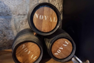 Porto: Wycieczka piesza z degustacją wina Porto i Douro