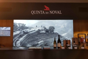 Porto: Wycieczka piesza z degustacją wina Porto i Douro