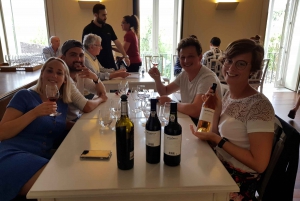 Porto: Wycieczka piesza z degustacją wina Porto i Douro