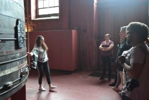 Porto: Wycieczka piesza z degustacją wina Porto i Douro