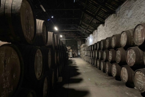 Porto: Wycieczka piesza z degustacją wina Porto i Douro