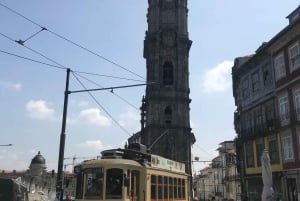 Porto + visita e degustazione della cantina del porto + tour della fabbrica di sardine