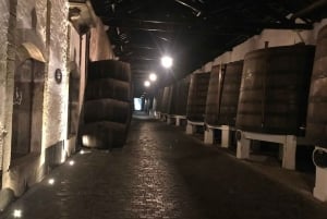 Porto + visita e degustazione della cantina del porto + tour della fabbrica di sardine