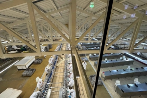 Porto + visita e degustazione della cantina del porto + tour della fabbrica di sardine