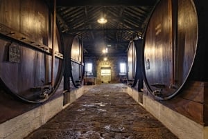 Porto: visita alle cantine del Porto e degustazione di vini alla Fonseca