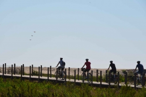 Porto: Porto Bike or E-Bike Atlantic Route