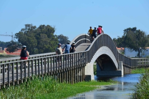 Порту: велосипедный или электровелосипедный тур по Атлантическому маршруту