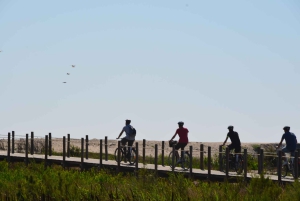 Порту: велосипедный или электровелосипедный тур по Атлантическому маршруту