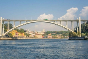 Oporto: sube al puente de la Arrábida