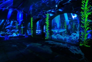 Porto Legends – Podziemna przygoda