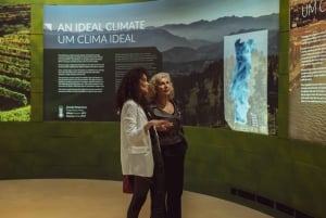 Porto Region Museum: duizend jaar geschiedenis