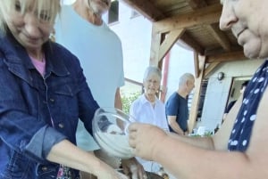 Porto: Matlagningskurs i portugisisk mat på terrassen