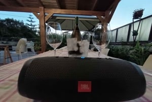 Porto: Matlagningskurs i portugisisk mat på terrassen