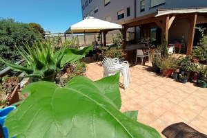 Porto: Matlagningskurs i portugisisk mat på terrassen