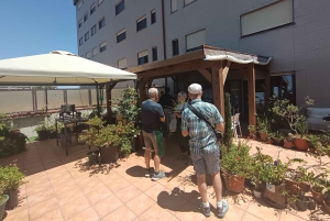 Porto: Coocking Class Cozinha Portuguêsa No Terraço