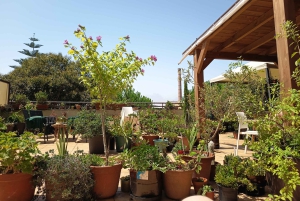 Porto: Coocking Class Cozinha Portuguêsa No Terraço