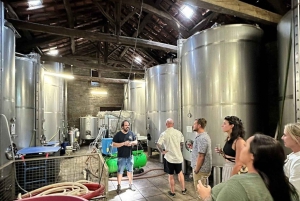 Порту: Экскурсия по долине Дору для небольшой группы, круиз и обед