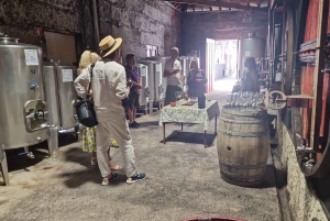 Порту: Экскурсия по долине Дору для небольшой группы, круиз и обед