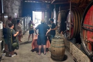 Порту: Экскурсия по долине Дору для небольшой группы, круиз и обед