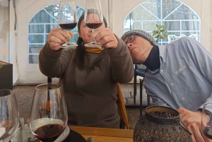 Порту: Экскурсия по долине Дору для небольшой группы, круиз и обед