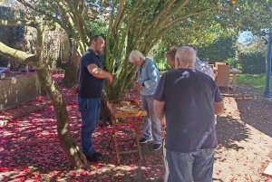 Порту: Экскурсия по долине Дору для небольшой группы, круиз и обед