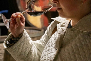 Порту: Экскурсия по долине Дору для небольшой группы, круиз и обед