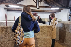 Порту: Экскурсия по долине Дору для небольшой группы, круиз и обед