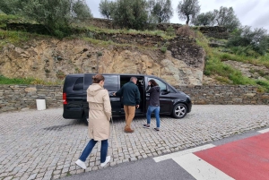 Порту: Экскурсия по долине Дору для небольшой группы, круиз и обед