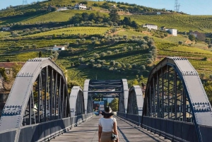 Порту: Экскурсия по долине Дору для небольшой группы, круиз и обед