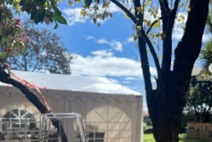 Порту: Экскурсия по долине Дору для небольшой группы, круиз и обед