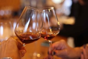 Porto: Port Wine Tasting – 1-Hour Masterclass with Sommelier