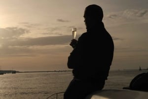 Oporto: Crucero privado en yate con vinos y aperitivos locales