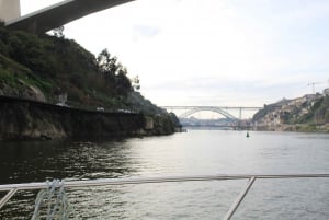 Oporto: Crucero privado en yate con vinos y aperitivos locales