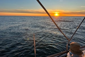 Porto: Wycieczka statkiem po rzece Douro z degustacją wina (mała grupa)