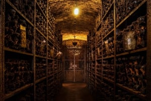 Porto: Premium Tour på Real Companhia Velha