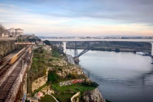 Tour privato pomeridiano di Porto, realizzato da chi la conosce bene.