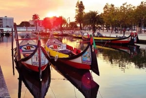 AVEIRO E COSTA NOVA: Private Ganztagestour mit Bootstour ab Porto