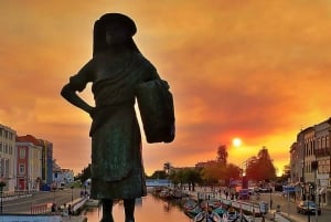 AVEIRO E COSTA NOVA: Private Ganztagestour mit Bootstour ab Porto