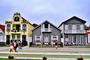 AVEIRO E COSTA NOVA: Private Ganztagestour mit Bootstour ab Porto