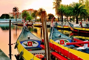 AVEIRO E COSTA NOVA: Private Ganztagestour mit Bootstour ab Porto