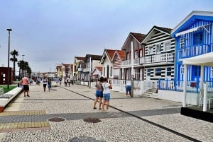 AVEIRO E COSTA NOVA: Private Ganztagestour mit Bootstour ab Porto