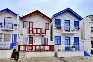 AVEIRO E COSTA NOVA: Private Ganztagestour mit Bootstour ab Porto