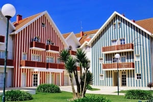 AVEIRO E COSTA NOVA: Private Ganztagestour mit Bootstour ab Porto