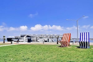 AVEIRO E COSTA NOVA: Private Ganztagestour mit Bootstour ab Porto