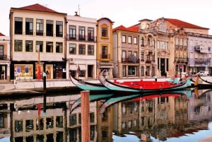 AVEIRO E COSTA NOVA: Private Ganztagestour mit Bootstour ab Porto