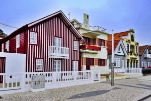 AVEIRO E COSTA NOVA: Private Ganztagestour mit Bootstour ab Porto