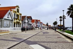 AVEIRO E COSTA NOVA: Private Ganztagestour mit Bootstour ab Porto