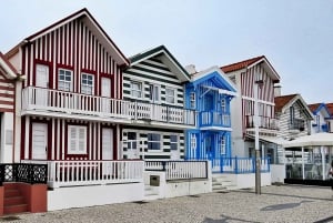 AVEIRO E COSTA NOVA: Private Ganztagestour mit Bootstour ab Porto